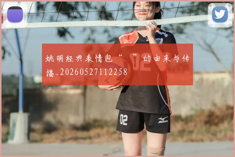 姚明经典表情包“囧”的由来与传播_20260527112258