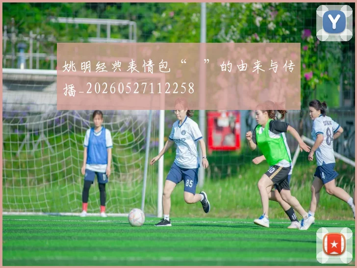 姚明经典表情包“囧”的由来与传播_20260527112258